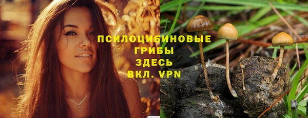 эйфоретик Алексин